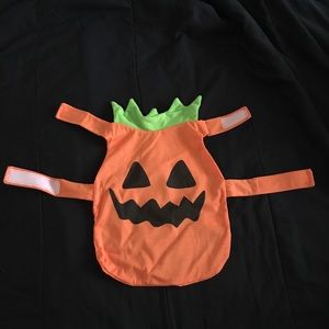Pumpkin Pet Costume size small